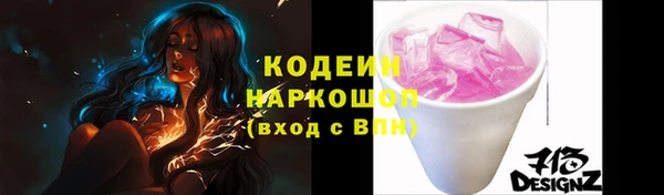 СК Медвежьегорск