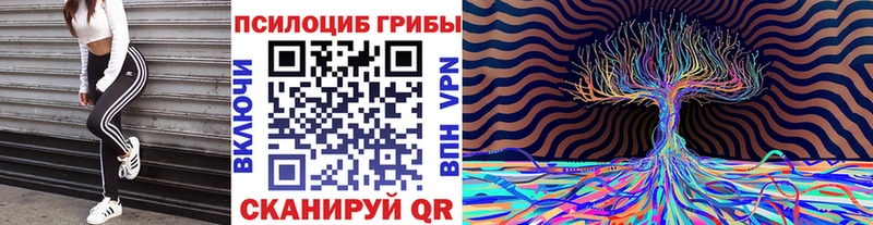 Псилоцибиновые грибы Psilocybine cubensis  Хабаровск 